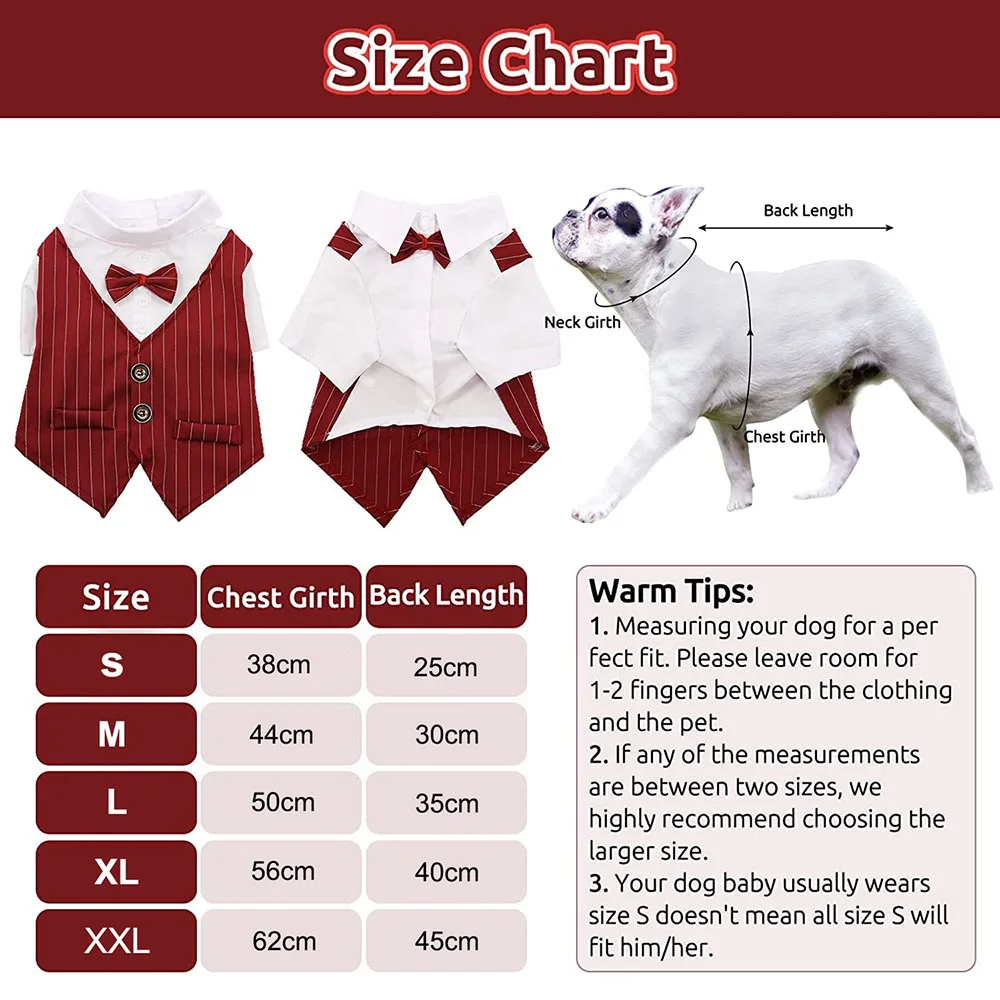 羊毛フェルト 犬 ストライプスーツ