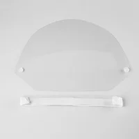 Transparent Face Shield