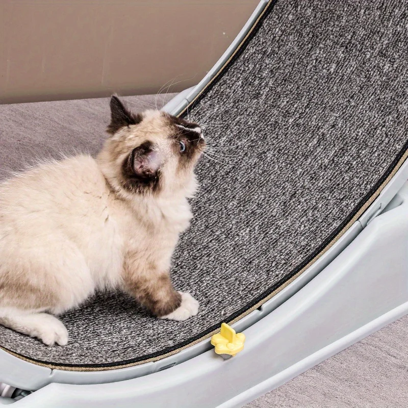 Cat exercise wheel treadmill with locking mechanism and removable carpeted runway