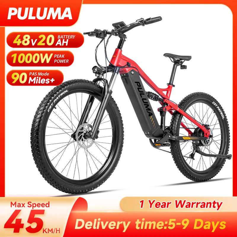 Bici elettrica per adulti Batteria Panasonic 48V20AH 1000W motore