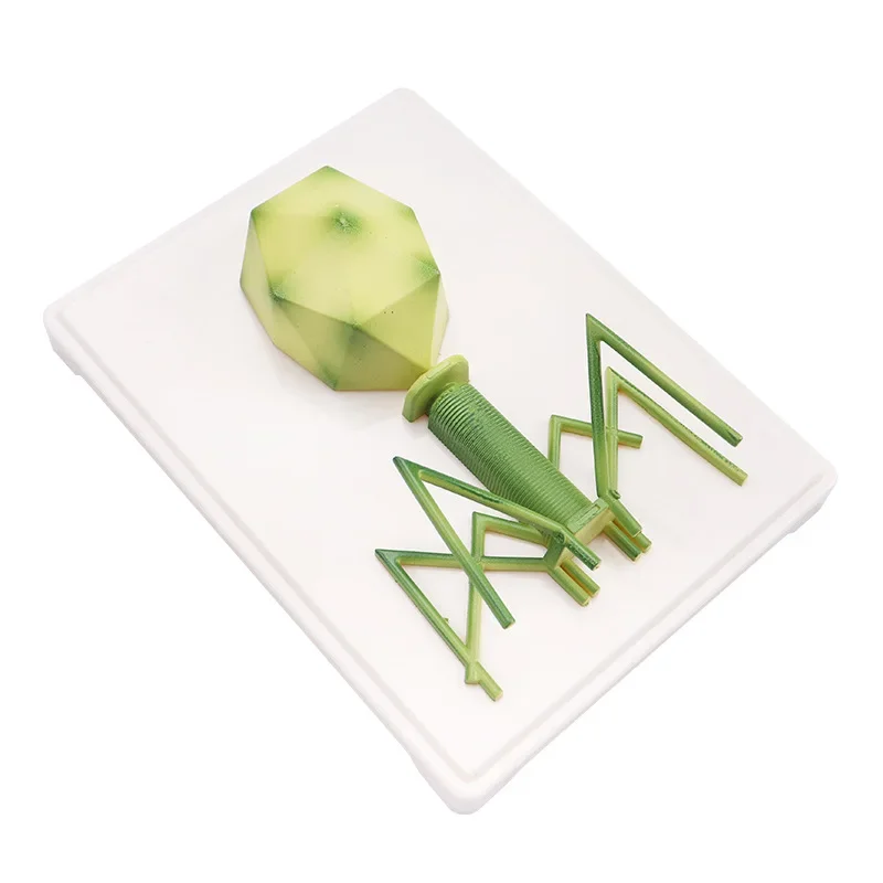 

Lab Virus Model Teaching Tool, 21x16x7.5cm, Detailed Structure Model for Biology Studies