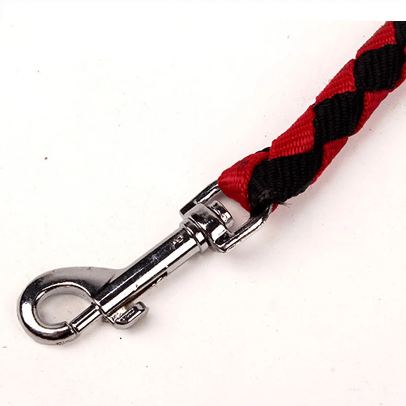 Double Heads Braided Dog Leash, Walk Two Dogs