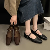 Mary Jane Single shoes Thick Heel Shoes Elegant Classic Retro Square Toe Comfortable Soft Shallow Cut Low Heel Women's Shoes 1