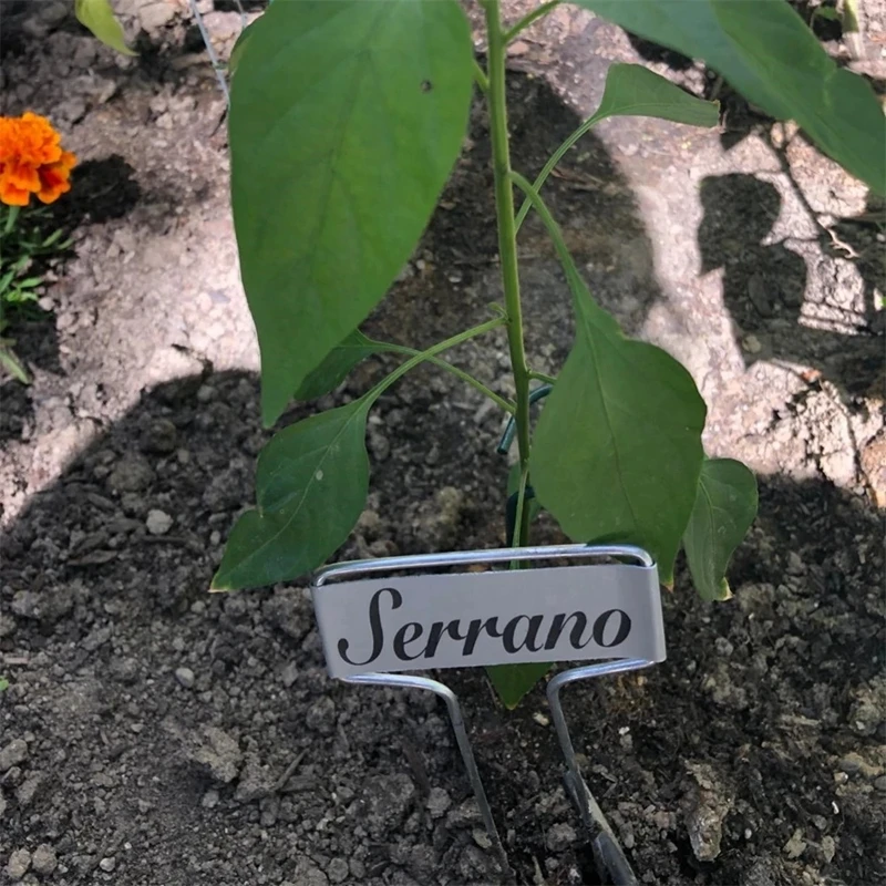 Slide image 3fa1a9017a8d4cb999a61e7f9a42c59c