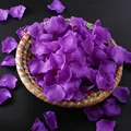 9 Dark Purple