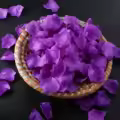 9 Dark Purple