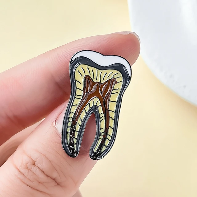 Catuni Teeth Nerve Dentistry Dental Medicine Brooch Pin Enamel Cute Lapel  Backpack Badge Jewelry Gift for Dentist Doctor Nurse