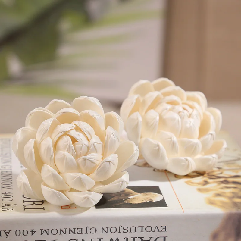 5PCS 8/10CM Aromatherapy Sola Flower Reed Diffuser Special Volatile Accessories Water Lily Dried Flower Simulation Lotus