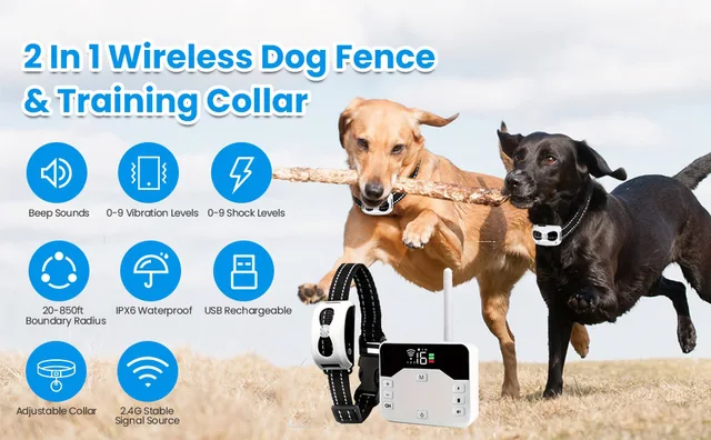 electric dog in wireless dog fence