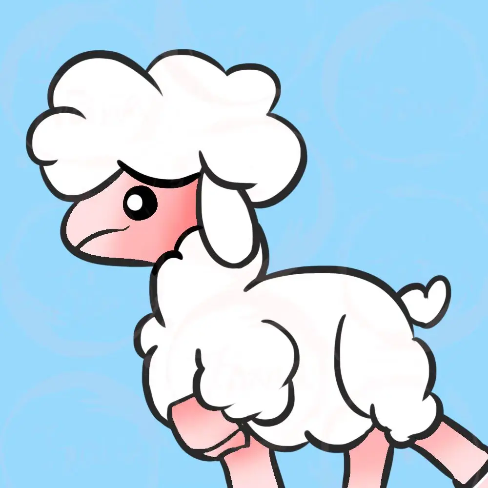 Real sheep Store
