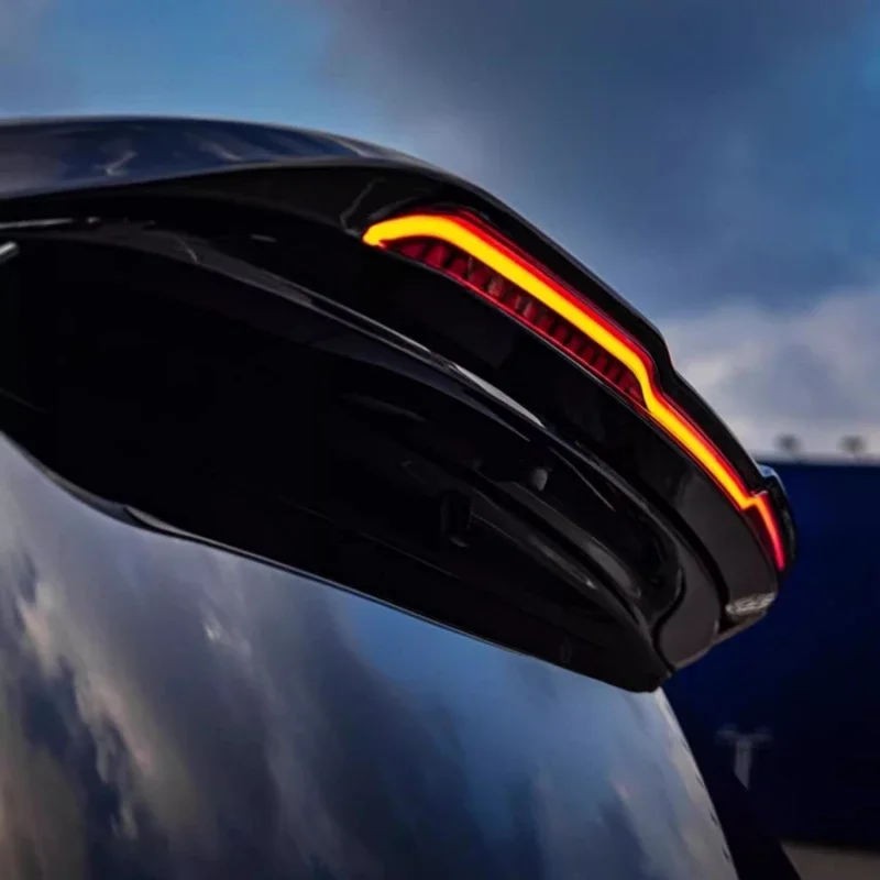 black tail wing