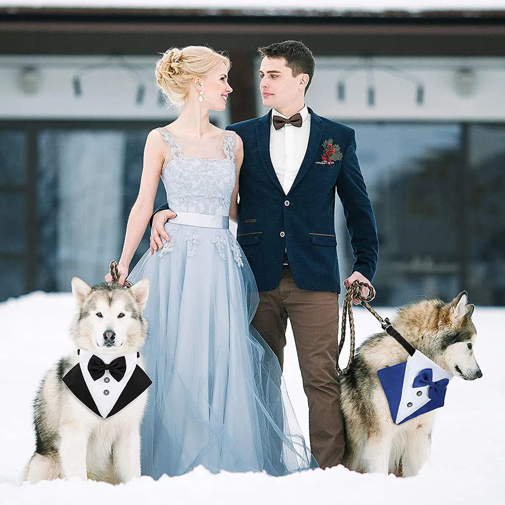 Title 5, Formal Dog Tuxedo Bandanas Wedding Bow Ties Col...
