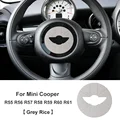 Grey For R55-R61