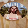 Lana Album Del R-Rey Creative Dining Chair Cushion Circular Decoration Seat For Office Desk Cushions Home Decor 5