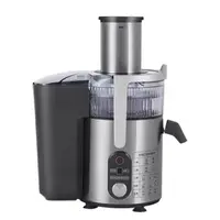 Cold Press Juicer Wide Mouth Juicer Extractor, for Vegetable and Fruit with 5-Speed Setting, High Juice Yield stainless steel 1