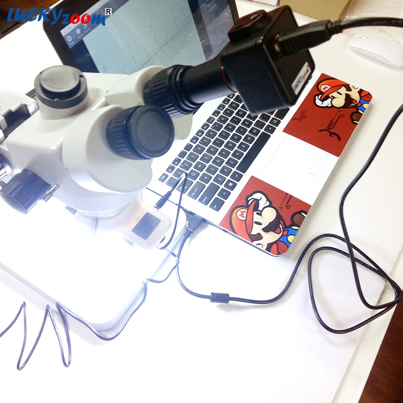 para microscopio trinocular binocular 03