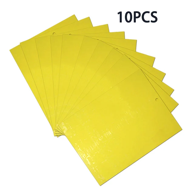 10 pcs