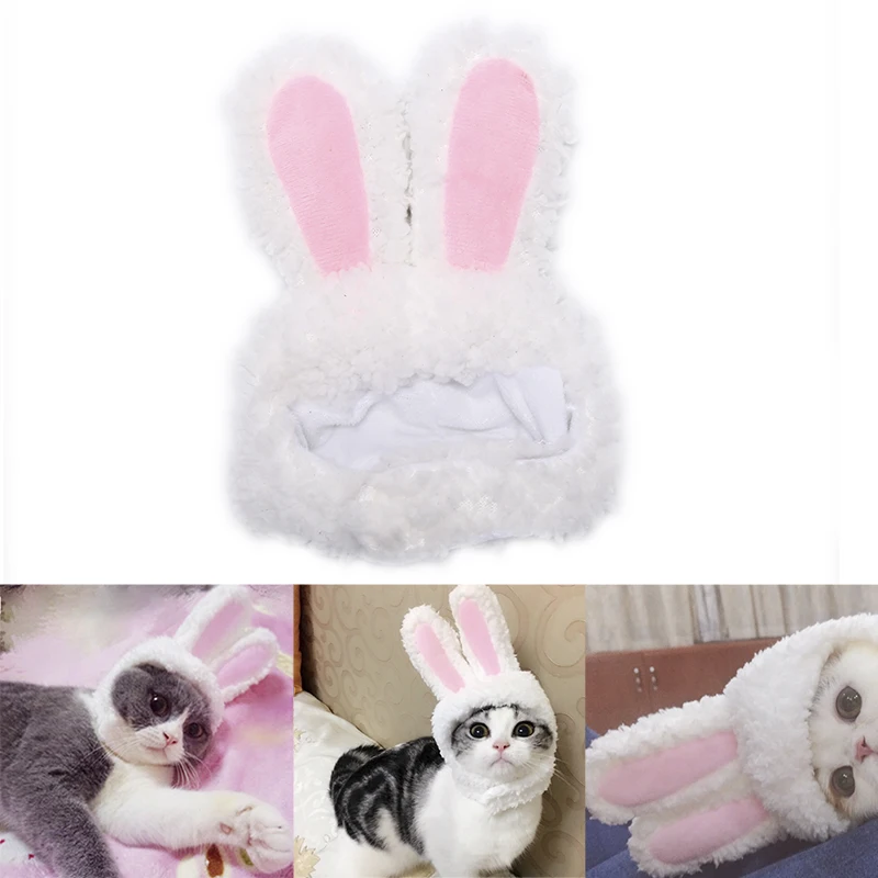 

Женская шляпа для кошек, костюмы для косплея кошек и маленьких собак