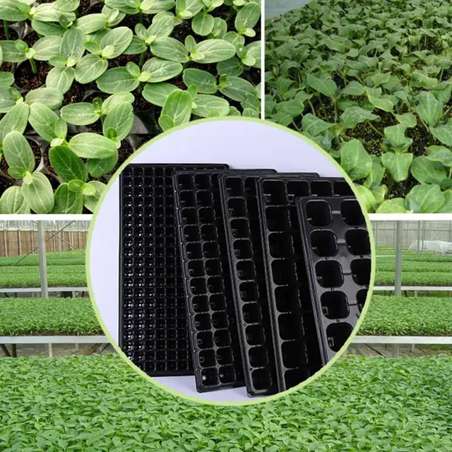 5 db Nagy Zamatos Tálca Könnyű Növénynövekedés Környezetbarát Növények Csírázási Erős Víz Felszívódás - Image 6