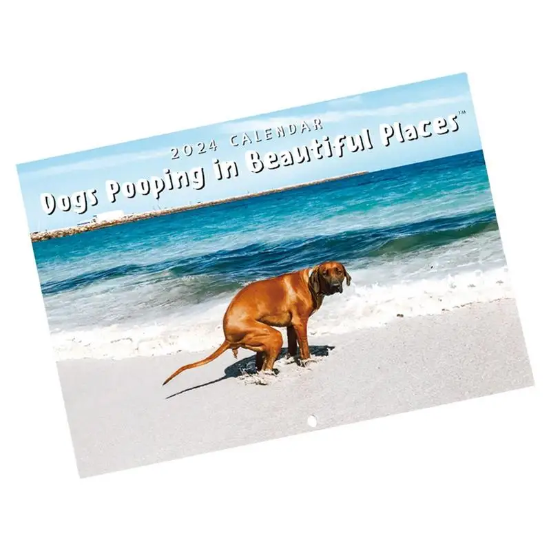 2024 Calendario Da Parete Dog Pooping Funny Pooches Calendar Calendario Da Parete Lucido Regalo Per Gli Amici Family Neaches Colleters Parenti