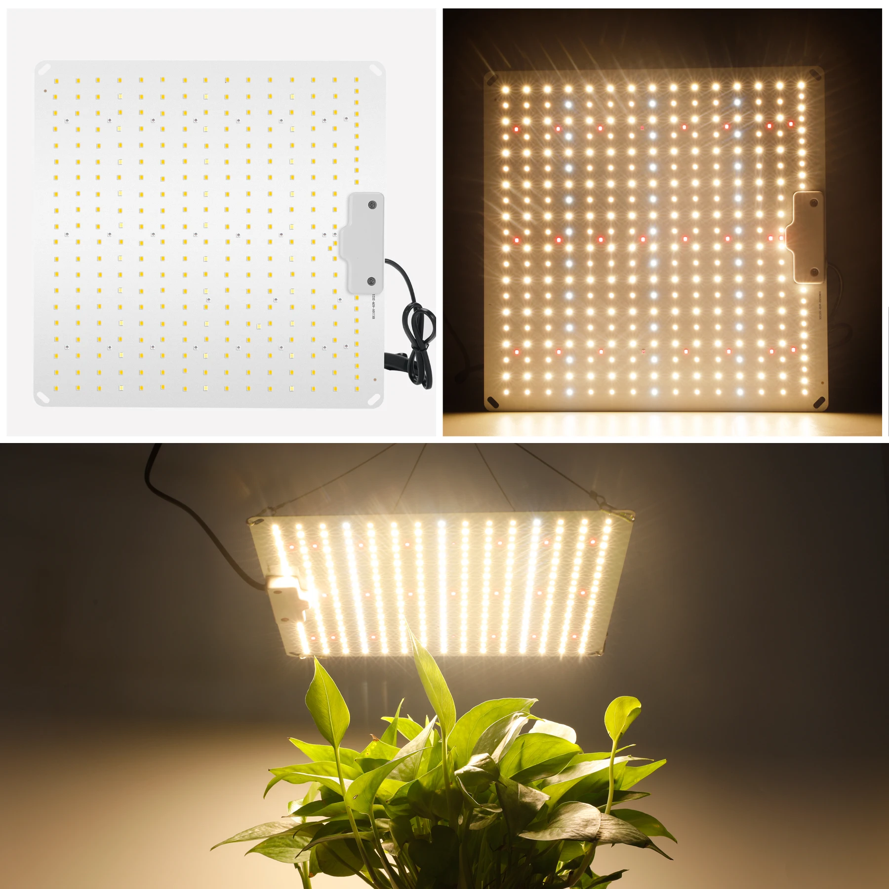 800W Samsung Diode Full Spectrum LED Grow Light Quantum Sunlike Grow ...