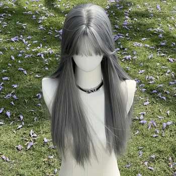 Nuova Parrucca Sintetica in Fibra Chimica Grigio Argento, Capelli Lisci Lunghi con Frangia Ordinata, Effetto Opaco, Parrucca Universale da Donna