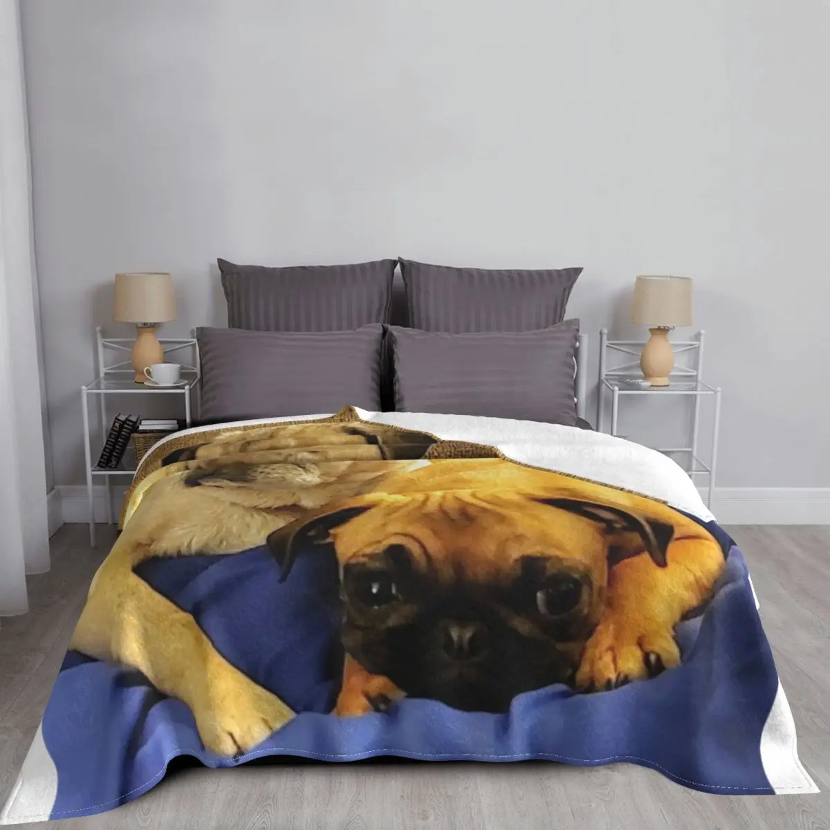 �۱� ������ ���, ǫ���� ���, ���� ���