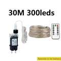 30M 300LED