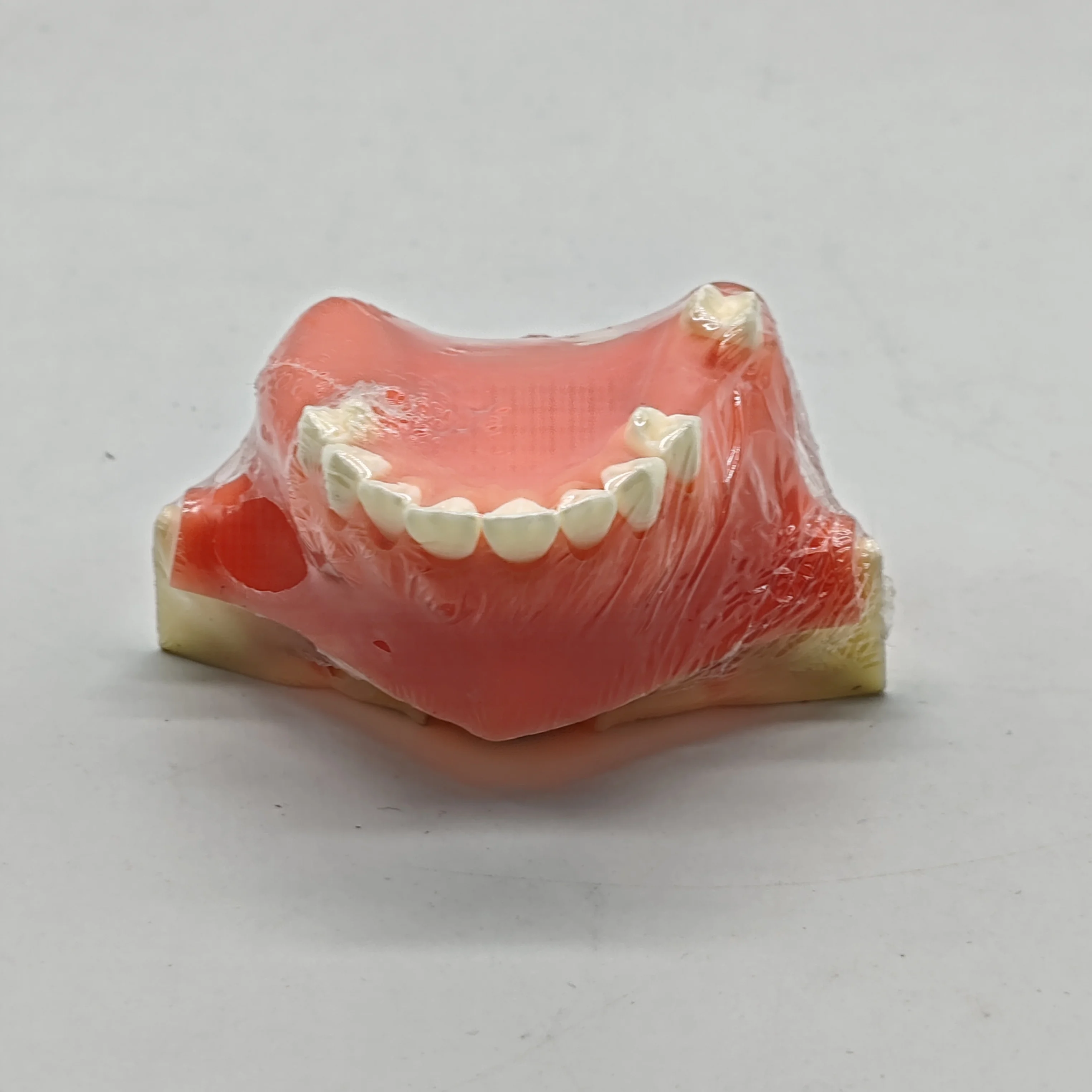 

Dental Teeth Model M2013S Maxillary Sinus Exercise Model