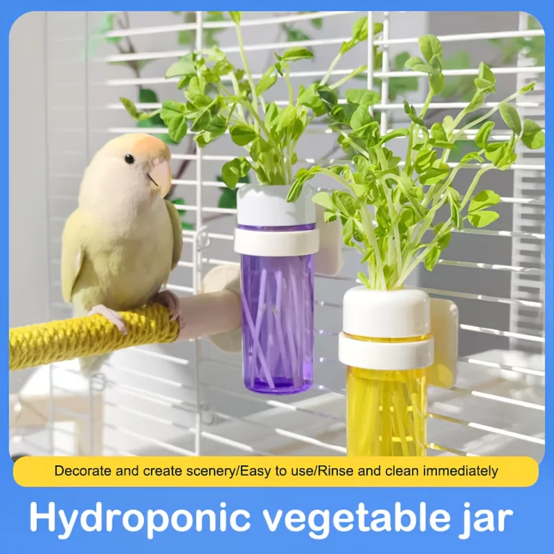 Cestino porta verdure per gabbia di pappagalli, contenitore per la conservazione, accessori per gabbie, cesto sospeso, giocattoli, forniture per gabbie di parrocchetti