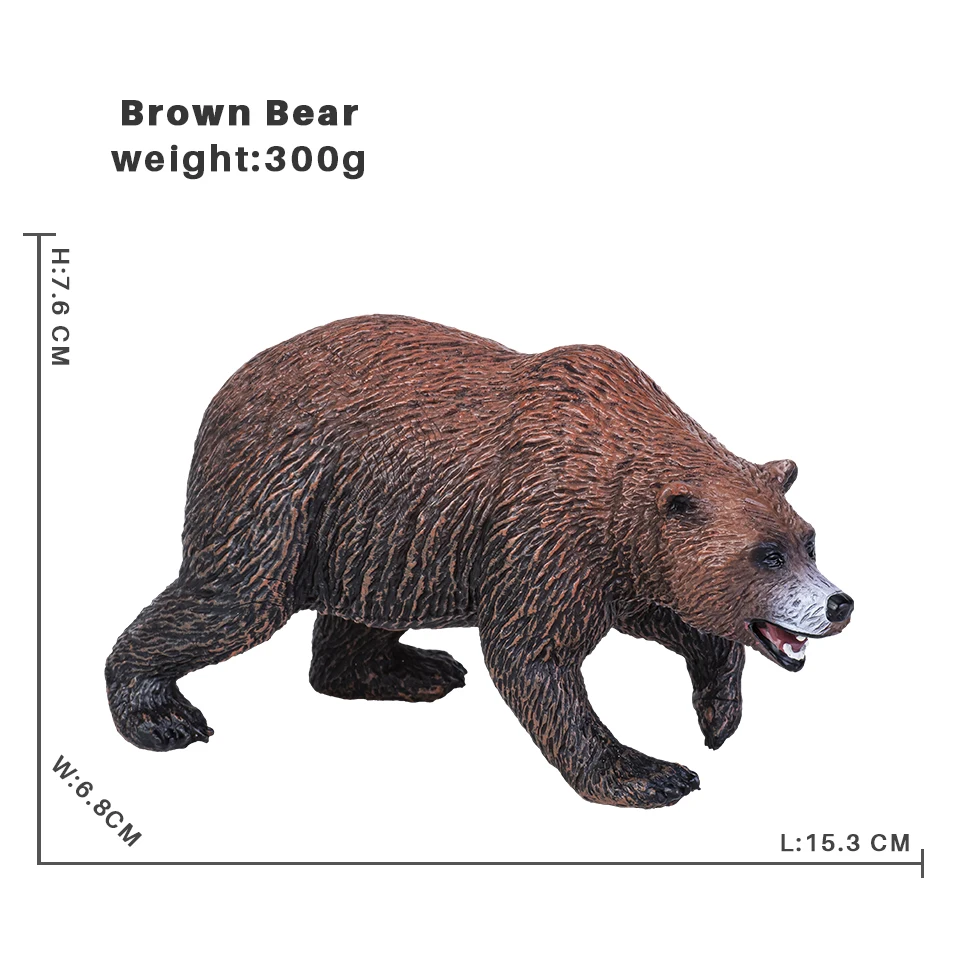 Brown Bear