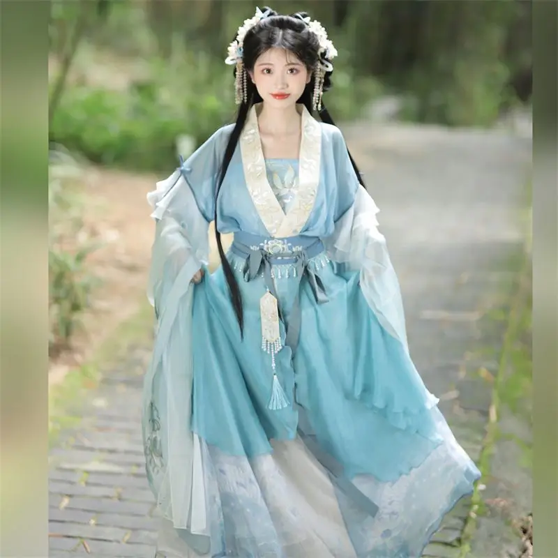 Robe Hanfu traditionnelle chinoise pour femmes, broderie de prairie, costume de danse folklorique de scène, rétro, dynastie Song, violet Ha, nickel é