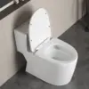 12"in One Piece Elongated Modern Toilet 3.1-Inch Huge Trapway Pipe Glazing Top Dual Flush 1.1/1.6 GPF 2