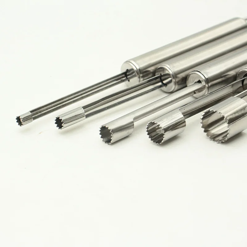 Fruit Corer Stainless Steel Hawthorn Red Date Apple Cherry Seed Removal Tool Kitchen