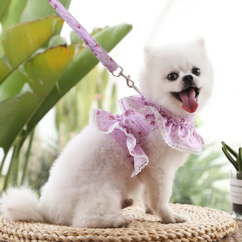 Pet Harness Leash Set Daisy Floral For Small Dogs Cats