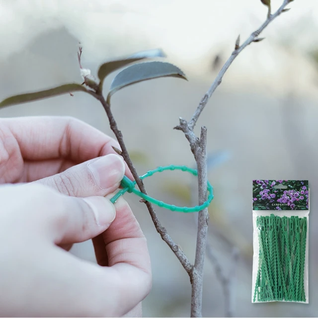 11/13/17/23cm Adjustable Plastic Plant Cable Ties Reusable Shrub Fastener for Garden Tree Climbing Support Vine Tomato Stem Clip 2