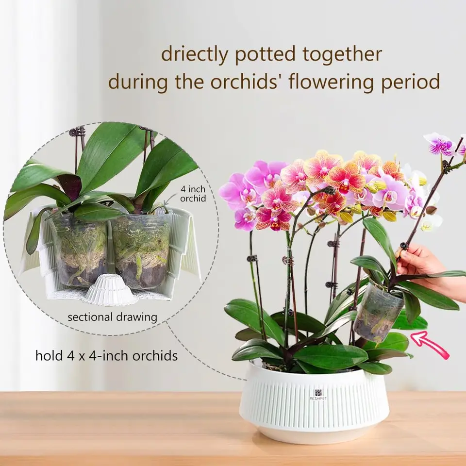 Vasi Fiori Trasparenti 5 Pollici 10 Vasi Per Orchidee In Plastica Trasparente Da 5 Pollici, Vasi Per Orchidee, Controllo Delle Set 5 Vasi Fori Plastica 5 Pollici Vassoio Rinvaso