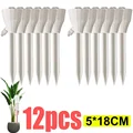 White-12pcs