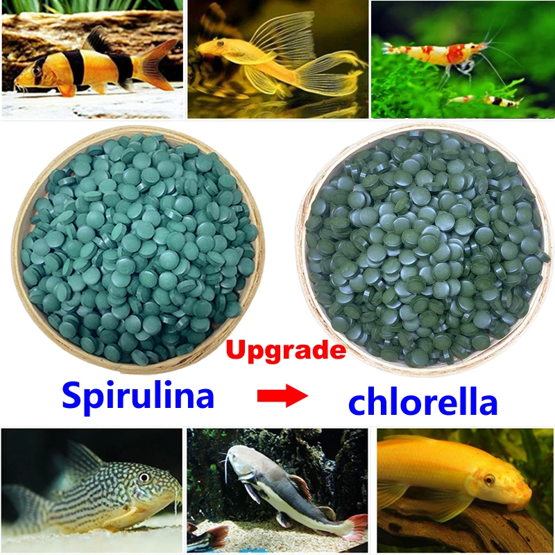 100PCSSpirulinaTabletsEnrichmentFavoritefishcrystalredshrimpbottomfeedingfishBottom