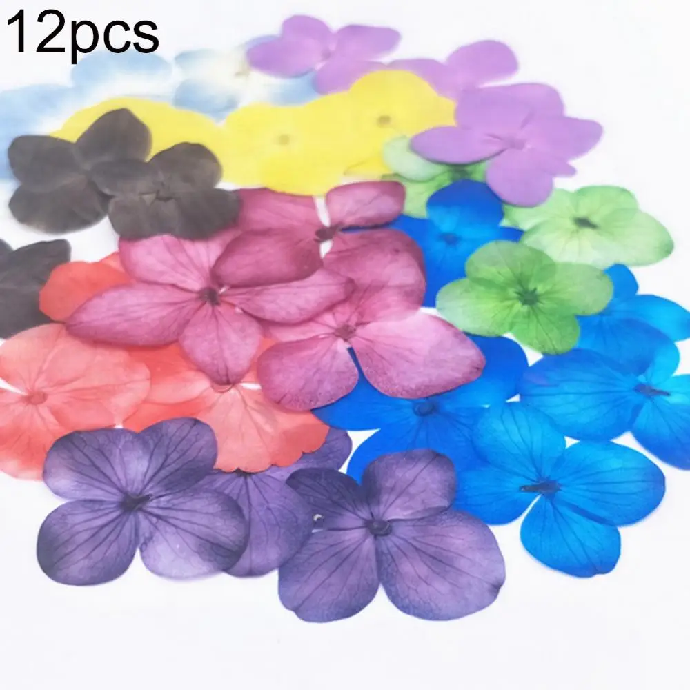 

12 Pcs 2cm-2.5cm Pressed Dried Flower Plant Narcissus Plum Blossom Flower Epoxy Resin Phone Decor Jewelry Making DIY Accessories