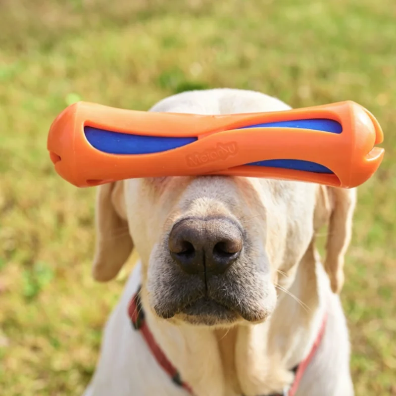 Floating Interactive Dog Water Toy Bite Resistant Aquatic Stick_voghion.com
