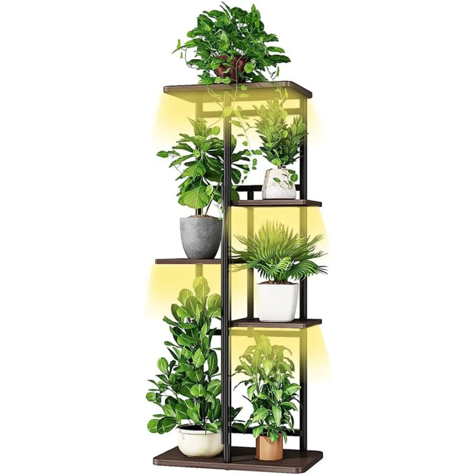 Plant Stand with Grow Lights 1