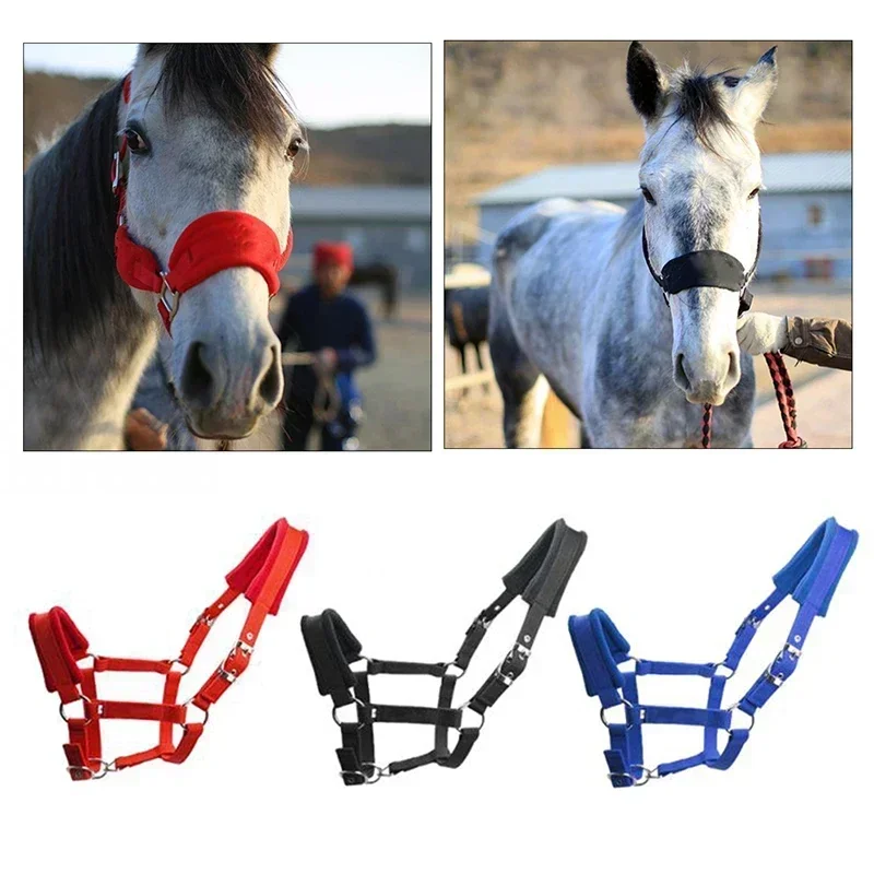 1Pc Soft Padded Pony Horse Halter Bridle Headstall Head Collar Horse Riding Accessories Ergonomic Comfortable Unfettered Halters 2