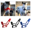 1Pc Soft Padded Pony Horse Halter Bridle Headstall Head Collar Horse Riding Accessories Ergonomic Comfortable Unfettered Halters 2