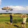 2pcs 1.1m Flat Eagle Kite with 30 Meter Kite Line Children Flying Bird Kites Windsock Garden Cloth Toys Outdoor Toy Kid Gift 5