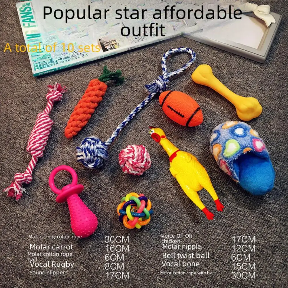 Juguete de peluche para , conjunto de entrenamiento Vocal, accesorios de tiempo de juego para cachorros, suministros de peluche Golden Retriever, nuevo, 2024 - Imagen 4