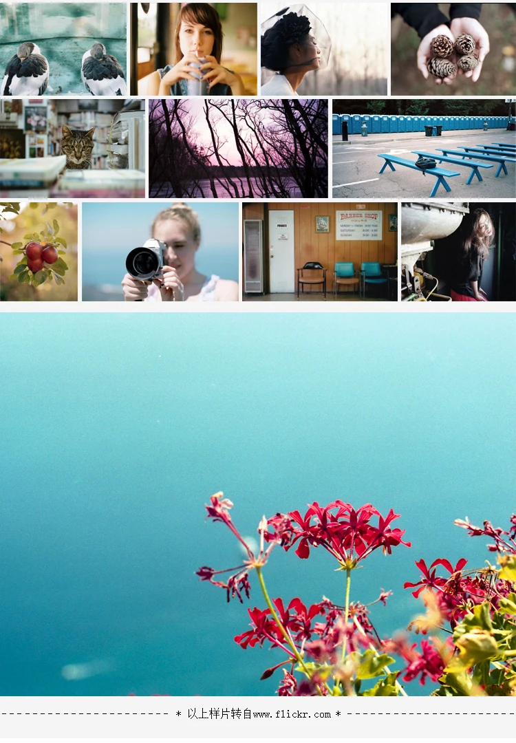 Professional 35mm Film for Photography