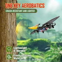 RC Plane Pterosaur 2.4G 6-Axis Gyro EPP Foam RC Aircraft With Led Light One Key Take Off 360 Rotation RC Glider Flying Toys 2