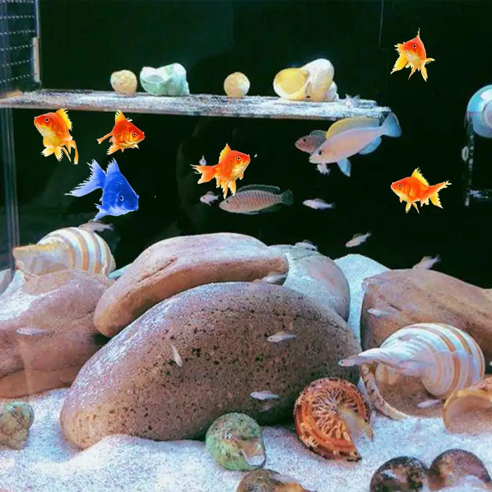 11pcs Hermit Crab Shells Medium Small Growth Turbo Seashells Sea Shell For Hermit Crabs Natural Shell Ornaments