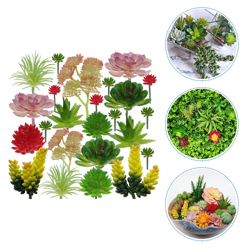 

Simulated Succulents Decorative Plant Wall Adornments Artificial Plant Home Office Desktop Decorative Ornament